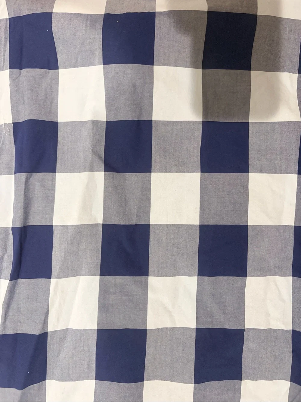 J. Crew Navy and White Large Check Button-Down Shirt